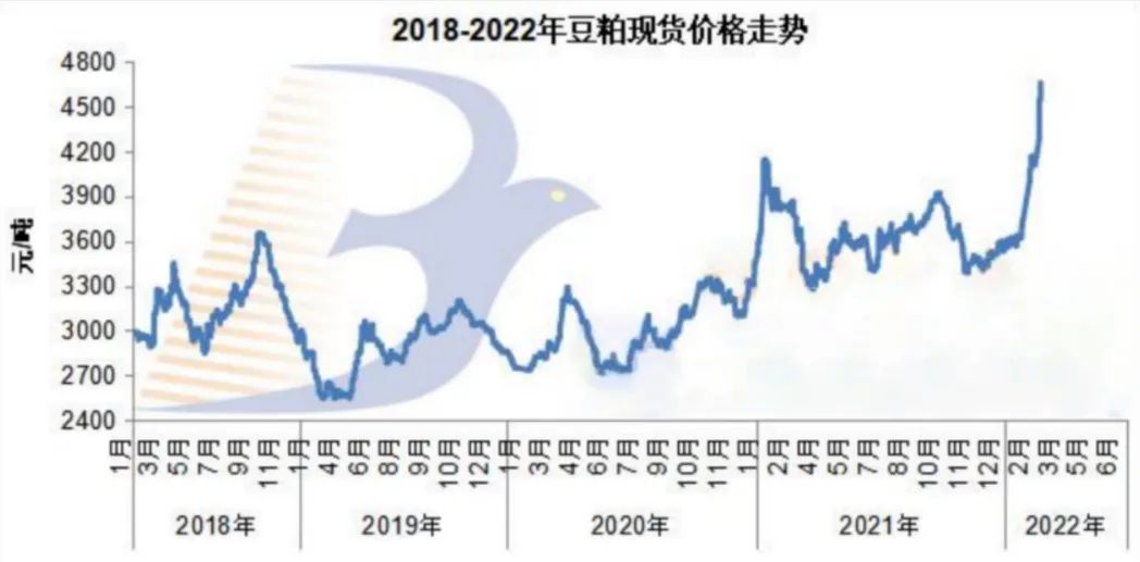低豆粕日粮，才是未来养殖业发展的方向！