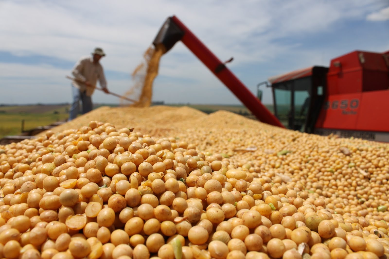 中国大量采购美豆，允许从俄全境进口小麦，巴西或望眼欲穿人民币