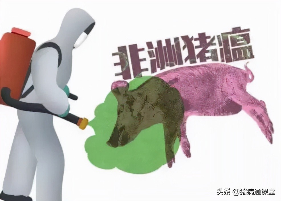 规模猪场如何防控非洲猪瘟？且看新希望