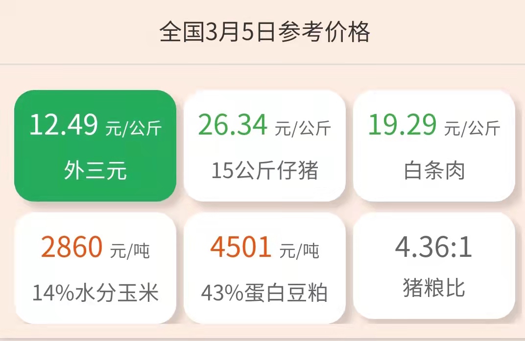3月5日猪价：猪价僵持！仔猪有价无市！为何产能去化停滞不前？