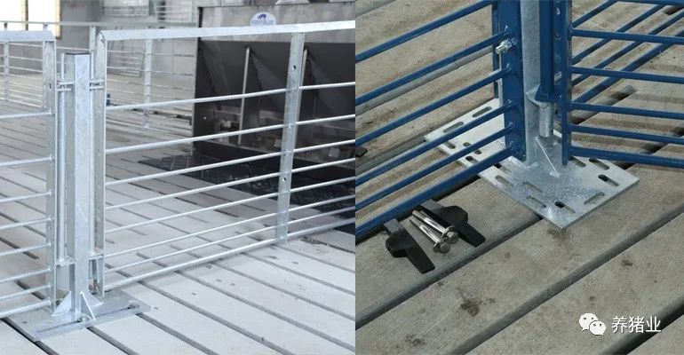 猪场不锈钢栏位应该如何选择与维护？