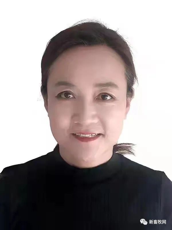 孙宝莹
