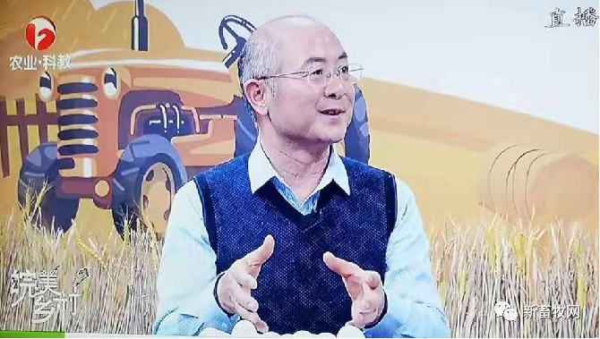 张丹俊