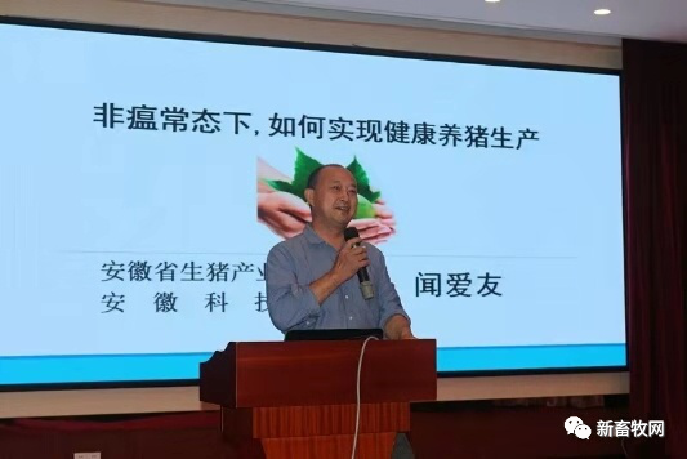 闻爱友