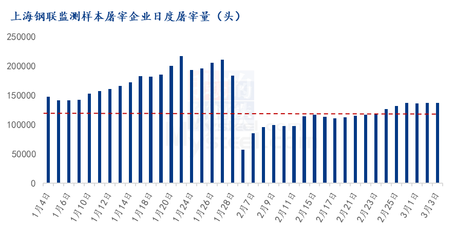 猪价大幅下滑后持续横盘整理，3月猪价能不能涨？