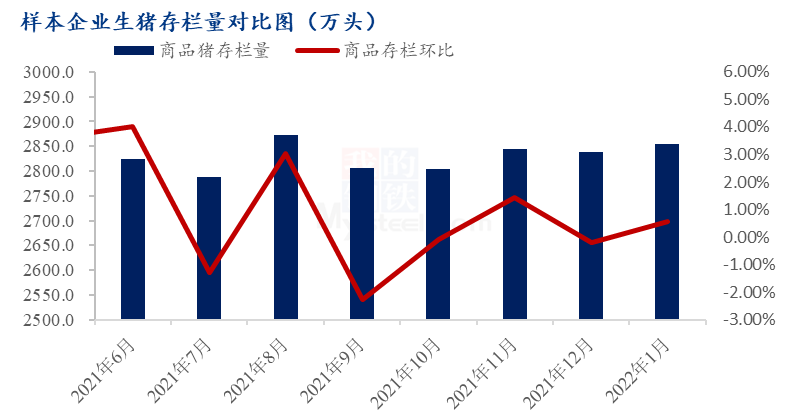 猪价大幅下滑后持续横盘整理，3月猪价能不能涨？