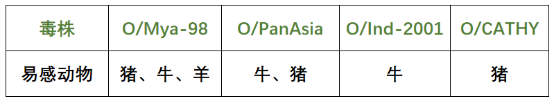 口蹄疫迎来春防期，中牧欧倍佳来助力！