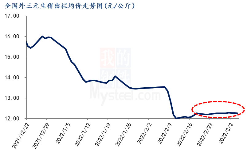 猪价大幅下滑后持续横盘整理，3月猪价能不能涨？