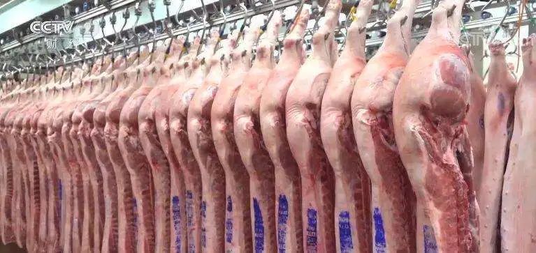 国家出大招！生猪补贴、冻肉收储、产能调控，猪价能否从此摆脱大起大落？