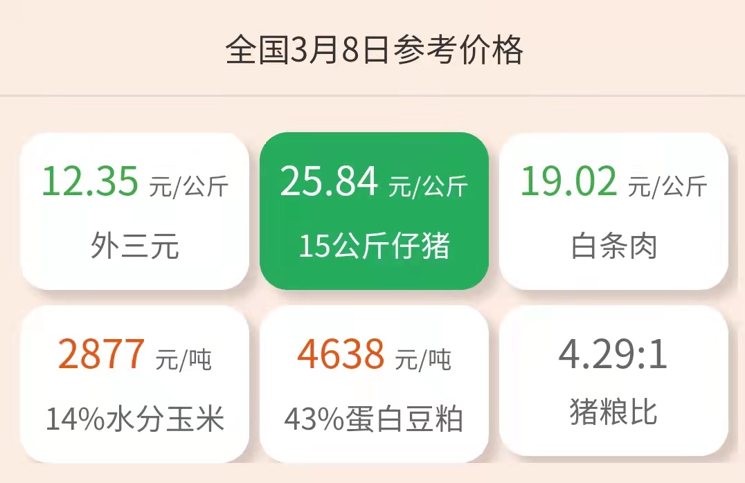 3.8仔猪价格：热门话题！到底该不该抄底？现在是否为最佳时机？