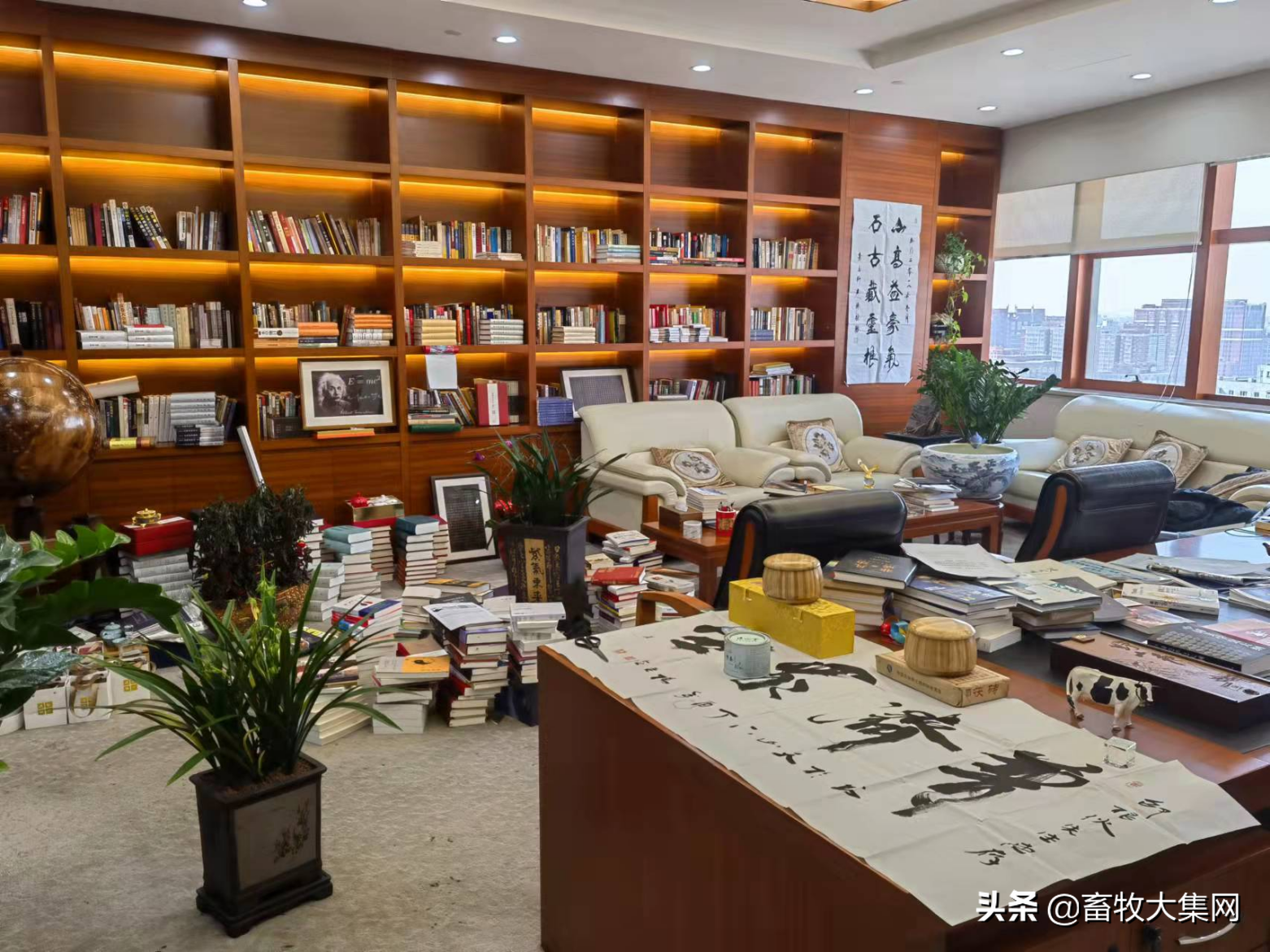 很多人看不懂大北农邵博士，当你深入了解，才发现其与众不同