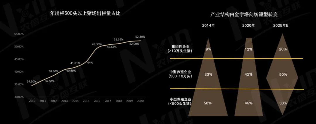 农信互联