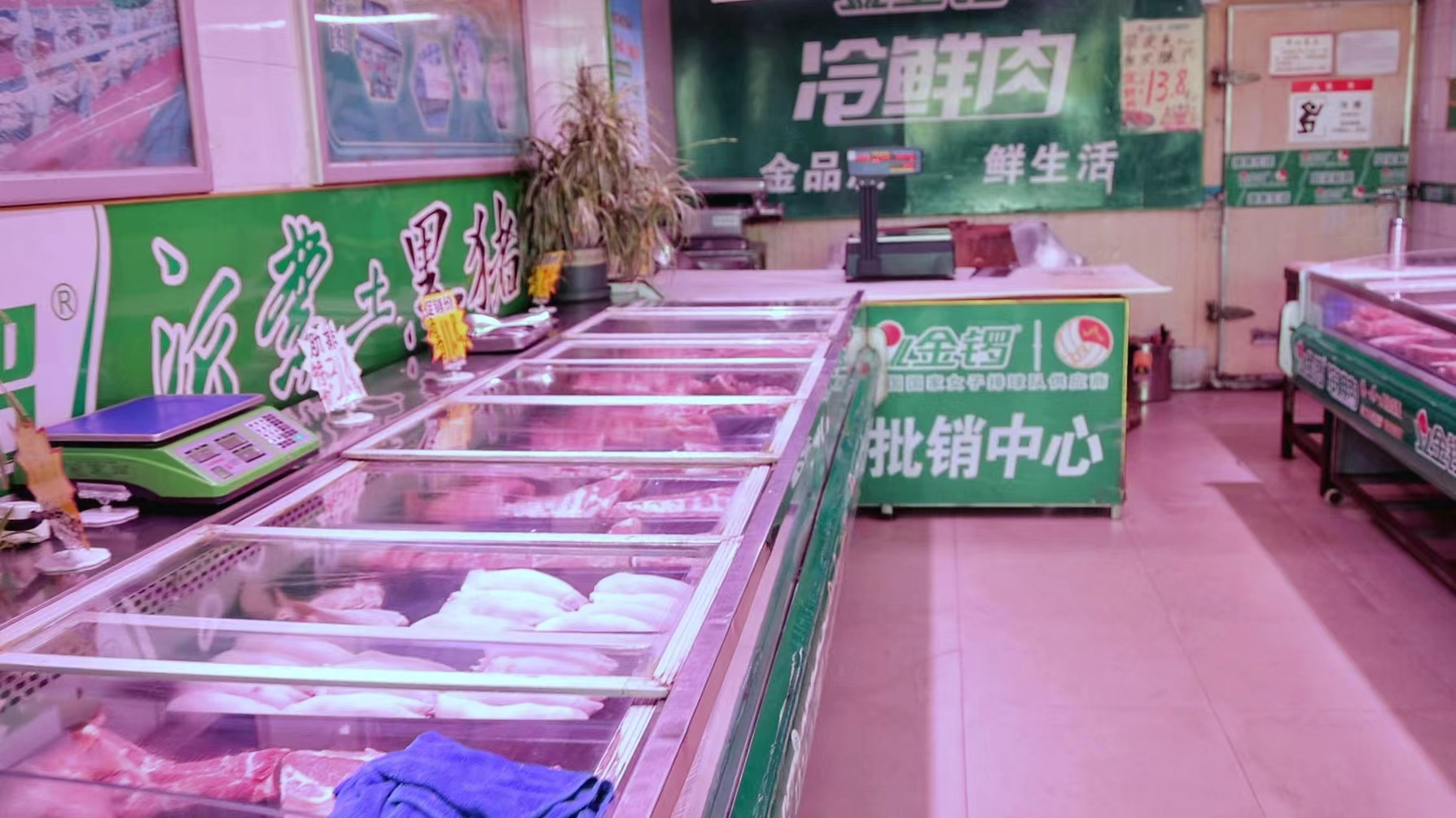 上海农产品中心批发市场某品牌猪肉批销中心 澎湃新闻记者 邹桥 摄