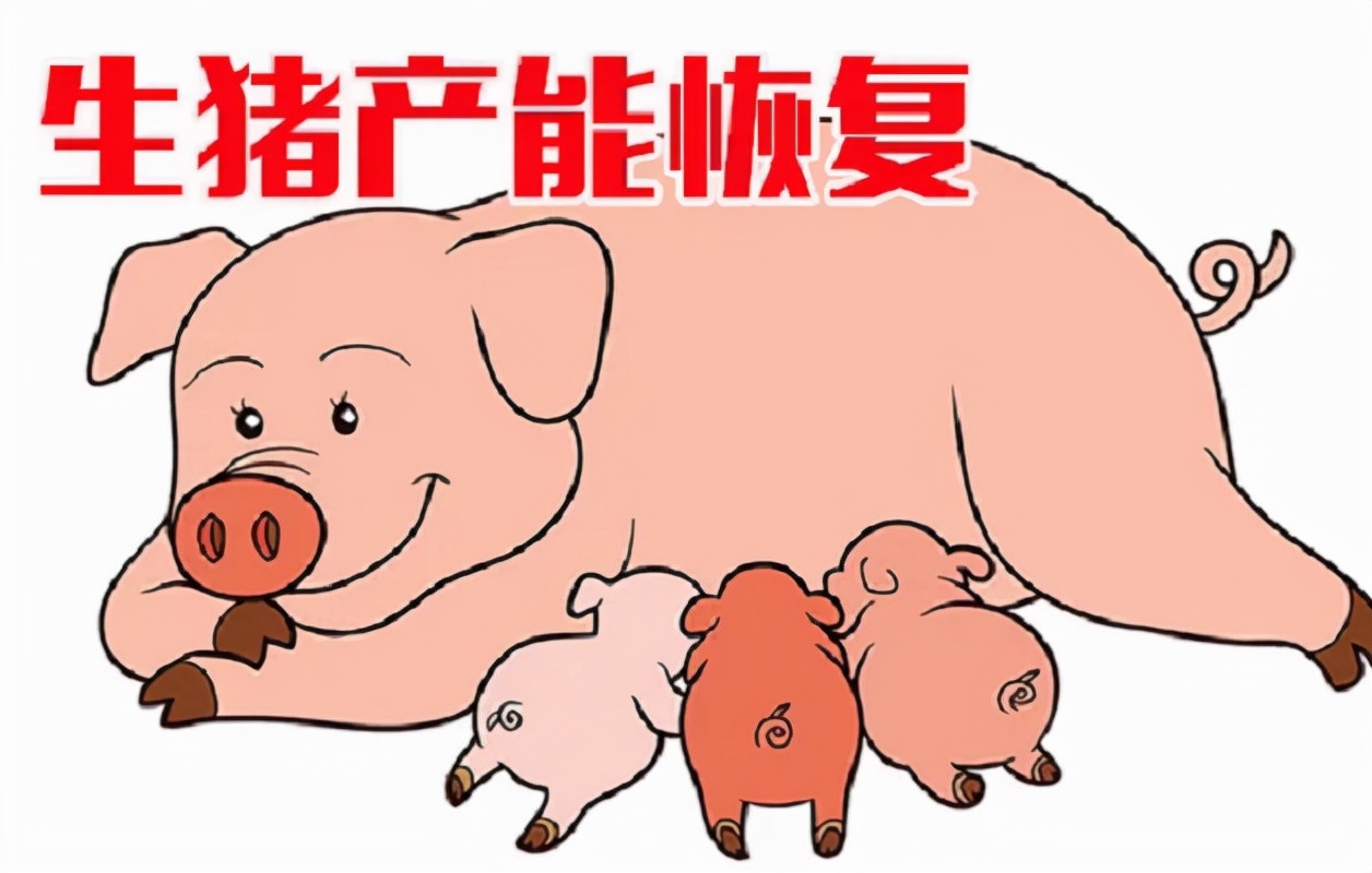 猪业又刮环保风，生猪产能恢复，2022年“拆猪场”将成必然？