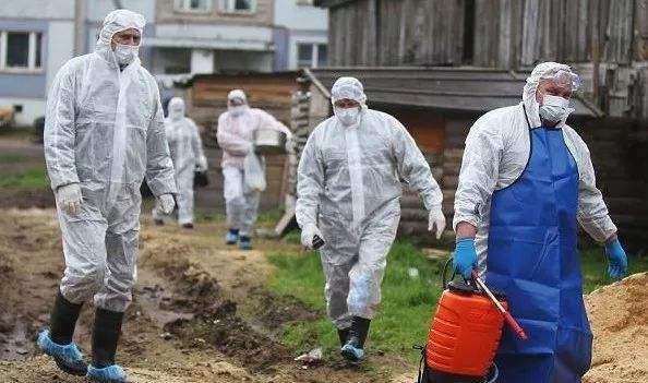 罗马尼亚发生11起野猪和7起家猪非洲猪瘟疫情 