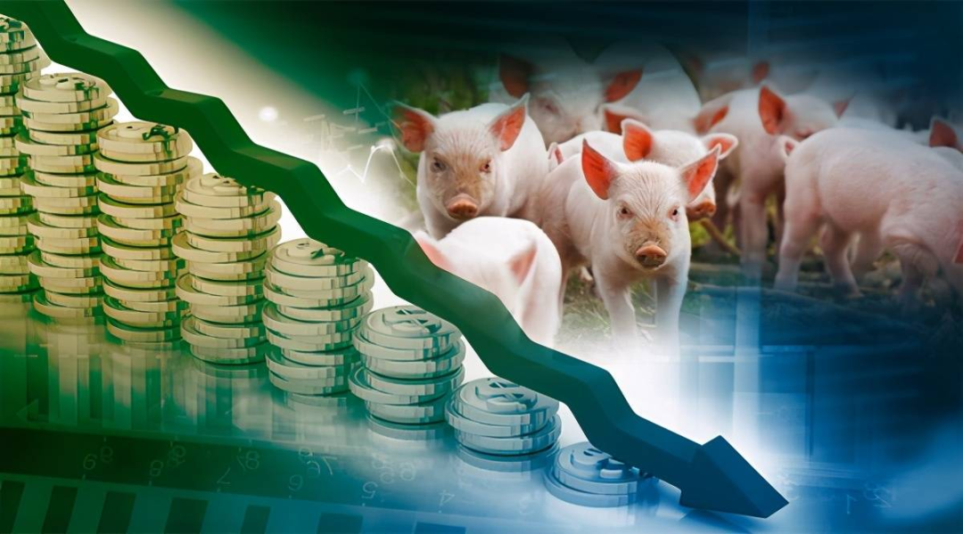 “一年赚、一年平、一年亏”，养猪翻身可能要等到2023年？
