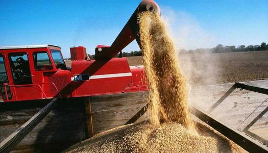 后期到港的大豆数量将会增多，谨防豆粕价格回落风险