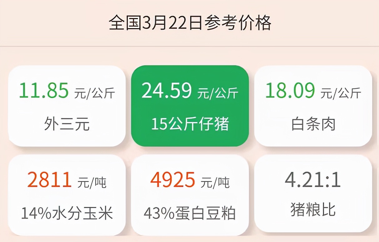 3月22日仔猪价格：猪价暴跌14.3%，仔猪价格屡次“冲高”失败