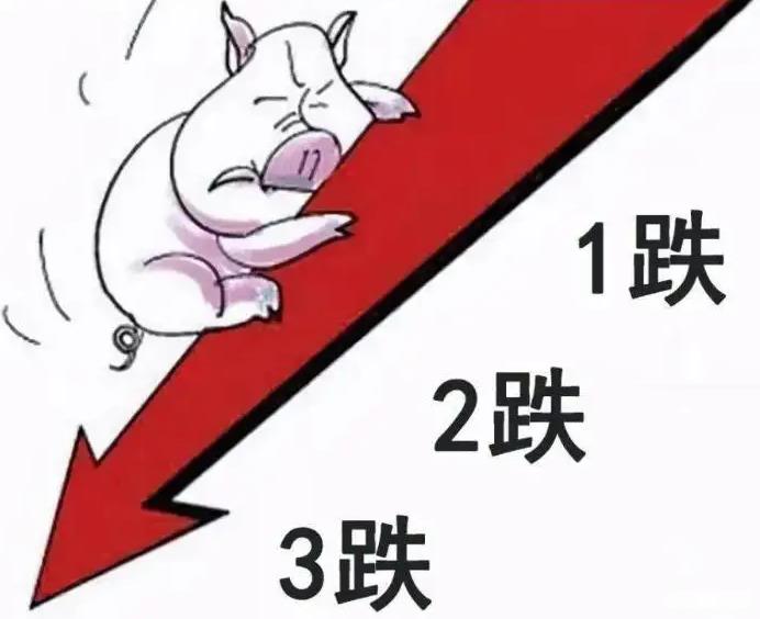 3月22日仔猪价格：猪价暴跌14.3%，仔猪价格屡次“冲高”失败