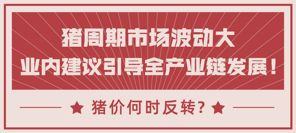 猪周期市场波动大，业内建议引导全产业链发展！猪价何时反转？