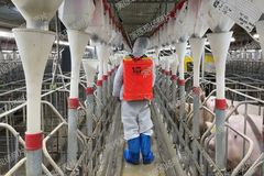 全民防非！锤炼统筹能力，筑牢防非城墙