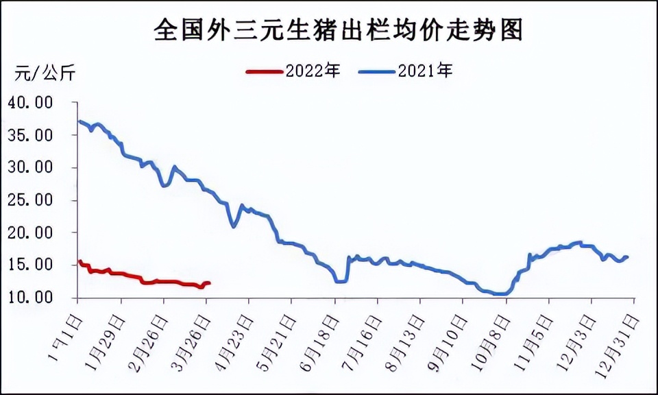 生猪养殖陷入水深火热，守得云开见月明，二季度猪价能否逆转？