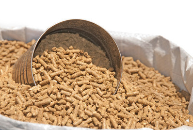 疯狂飙升！豆粕价格冲击5600元/吨！养殖户们应如何抉择？