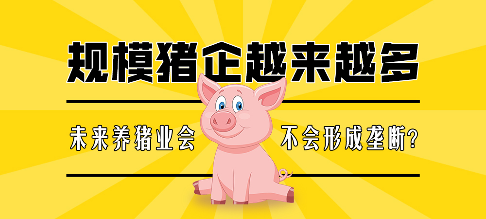 规模猪企越来越多，未来养猪业会不会形成垄断？