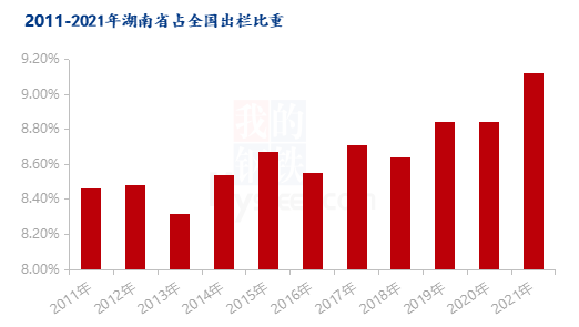 图1 2011-2021年湖南省占全国出栏量比重