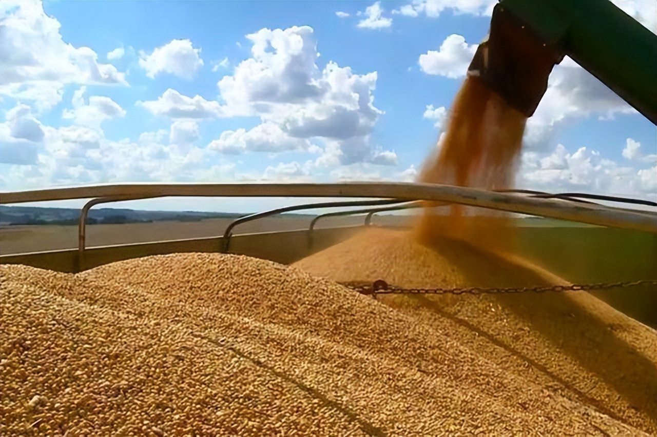3月30日饲料价格：国储出手投放50万吨大豆！豆粕价格要大跳水？