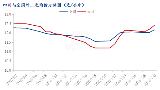 10天上涨11.3%，四川猪价为何领涨全国？