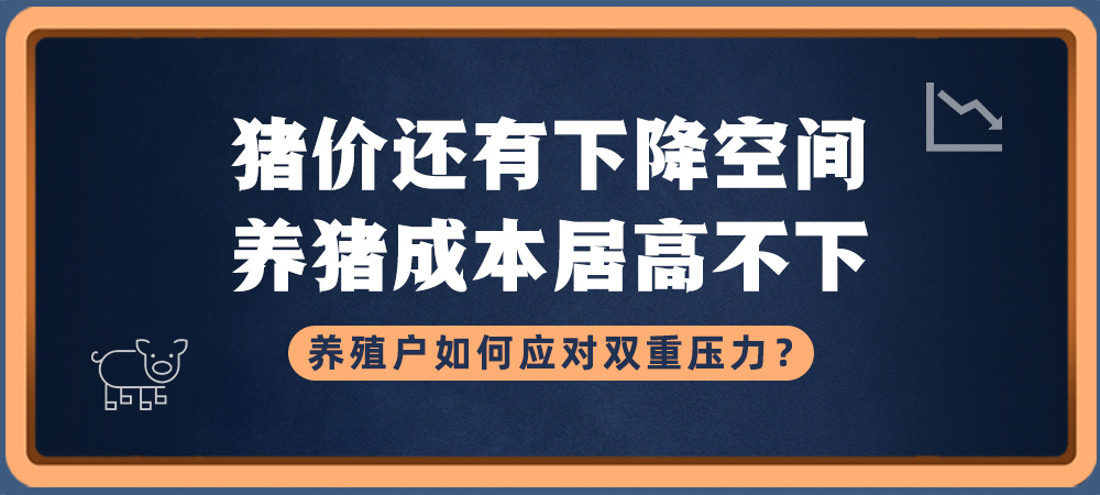 猪价还有下降空间，养猪成本居高不下，养殖户如何应对双重压力？