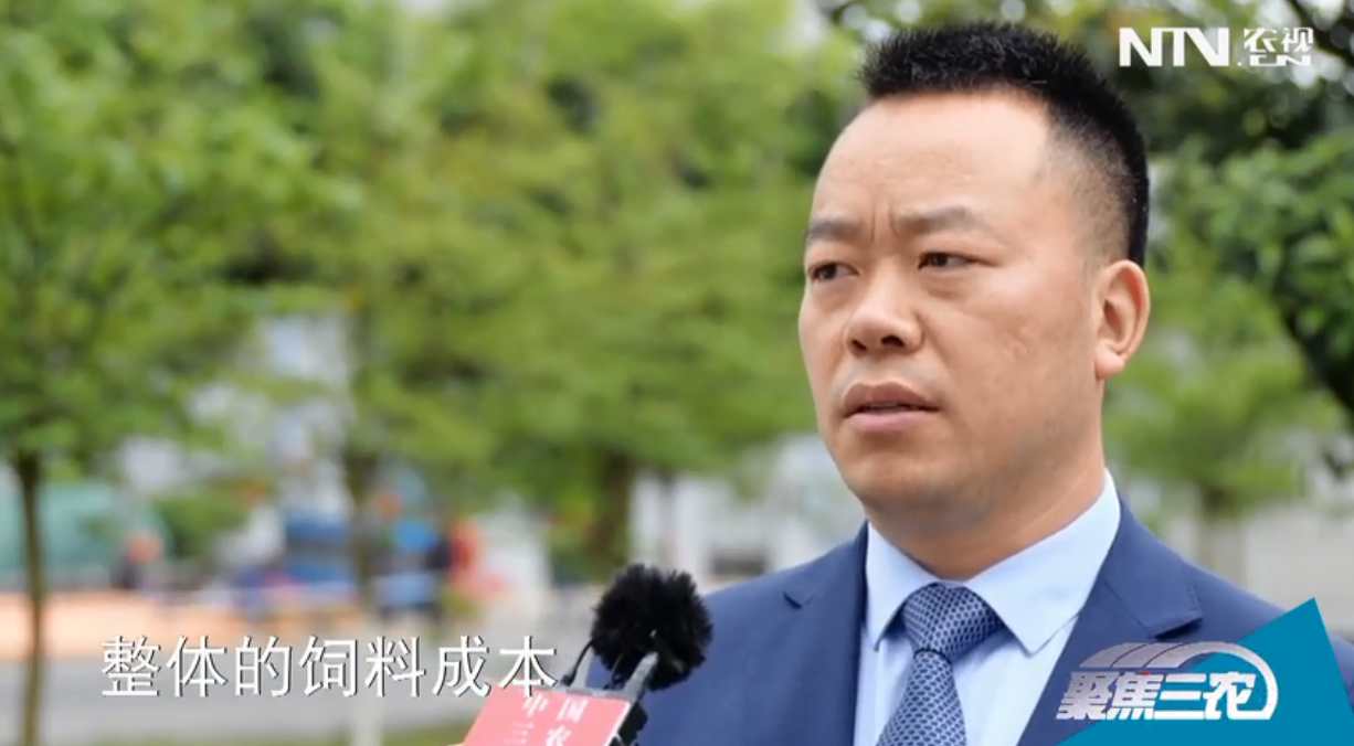 猪价低迷下，四川向养殖户发放出栏补贴和贷款扶持