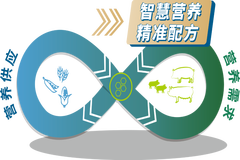 低蛋白不等于低营养！低蛋白不等于低成本！