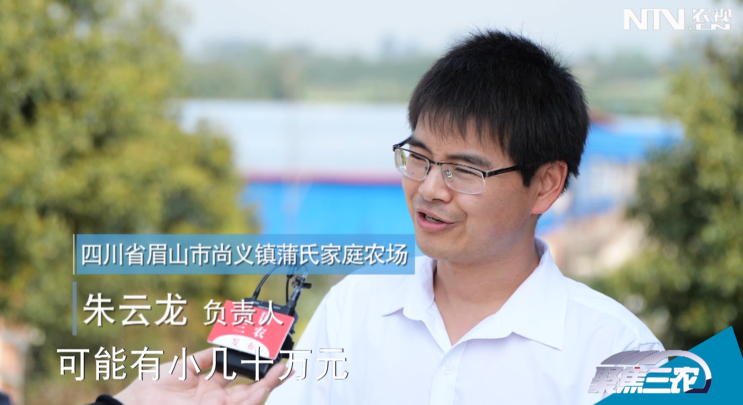 猪价低迷，四川省向养殖户发放出栏补贴和贷款扶持