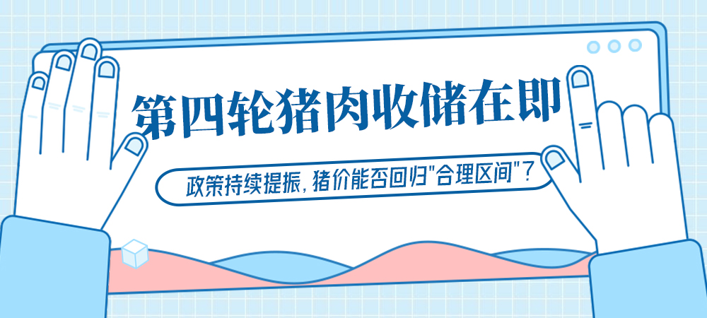 第四轮猪肉收储在即，政策持续提振，猪价能否回归“合理区间”？