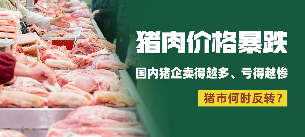 猪肉价格暴跌41.4%！猪企集体亏损，猪市何时反转？