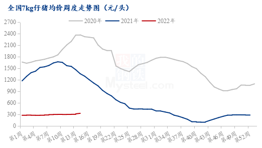 看好下半年行情，补栏络绎不绝，仔猪价格飙升！都在“赌”反转吗？