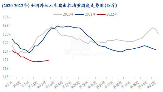 看好下半年行情，补栏络绎不绝，仔猪价格飙升！都在“赌”反转吗？