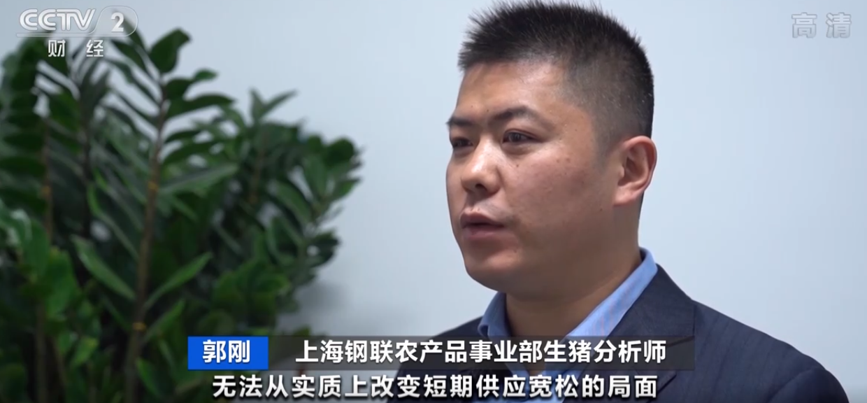 猪肉供大于求，部分猪企却逆势增产！业内人士：头部企业看好猪周期后市场