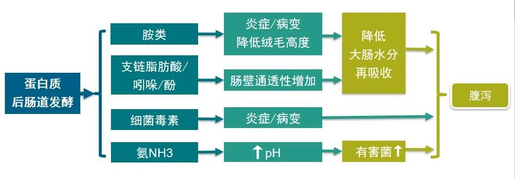 仔猪腹泻成活率低，应该从营养角度探讨并解决问题！