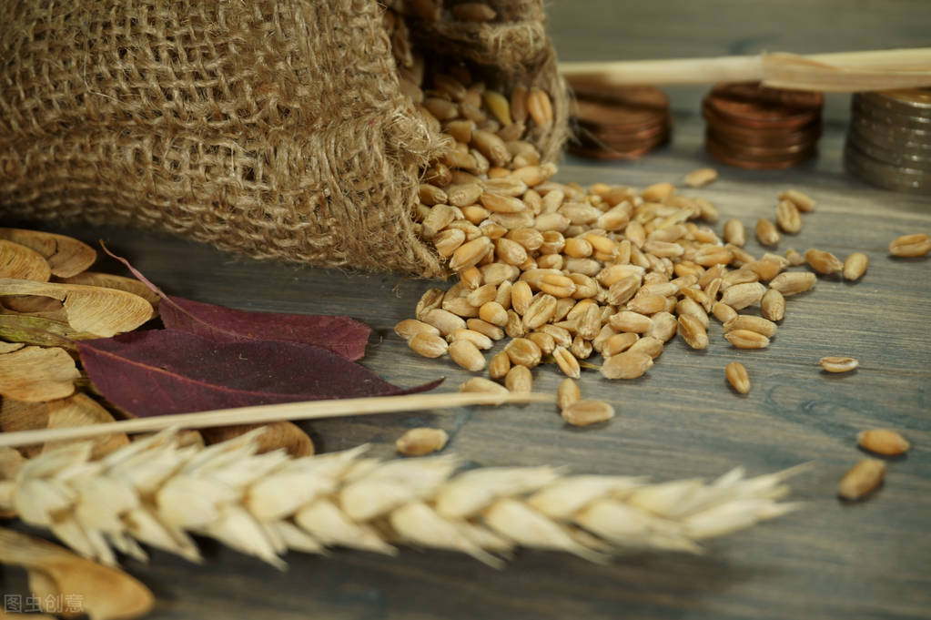 玉米涨跌互现，小麦再迎疯涨，大豆“有价无市”，粮价咋回事？