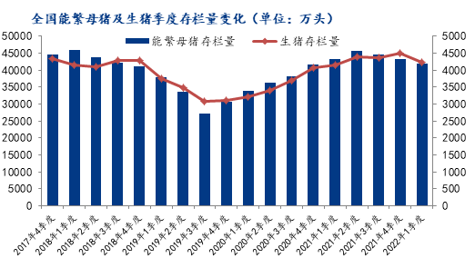 黑吉猪价上涨至7元，是周期上涨还是报复性拉涨？