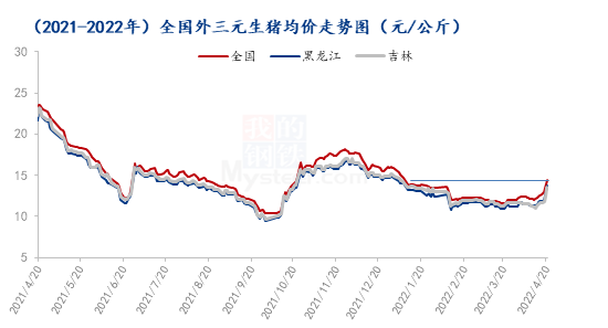 黑吉猪价上涨至7元，是周期上涨还是报复性拉涨？