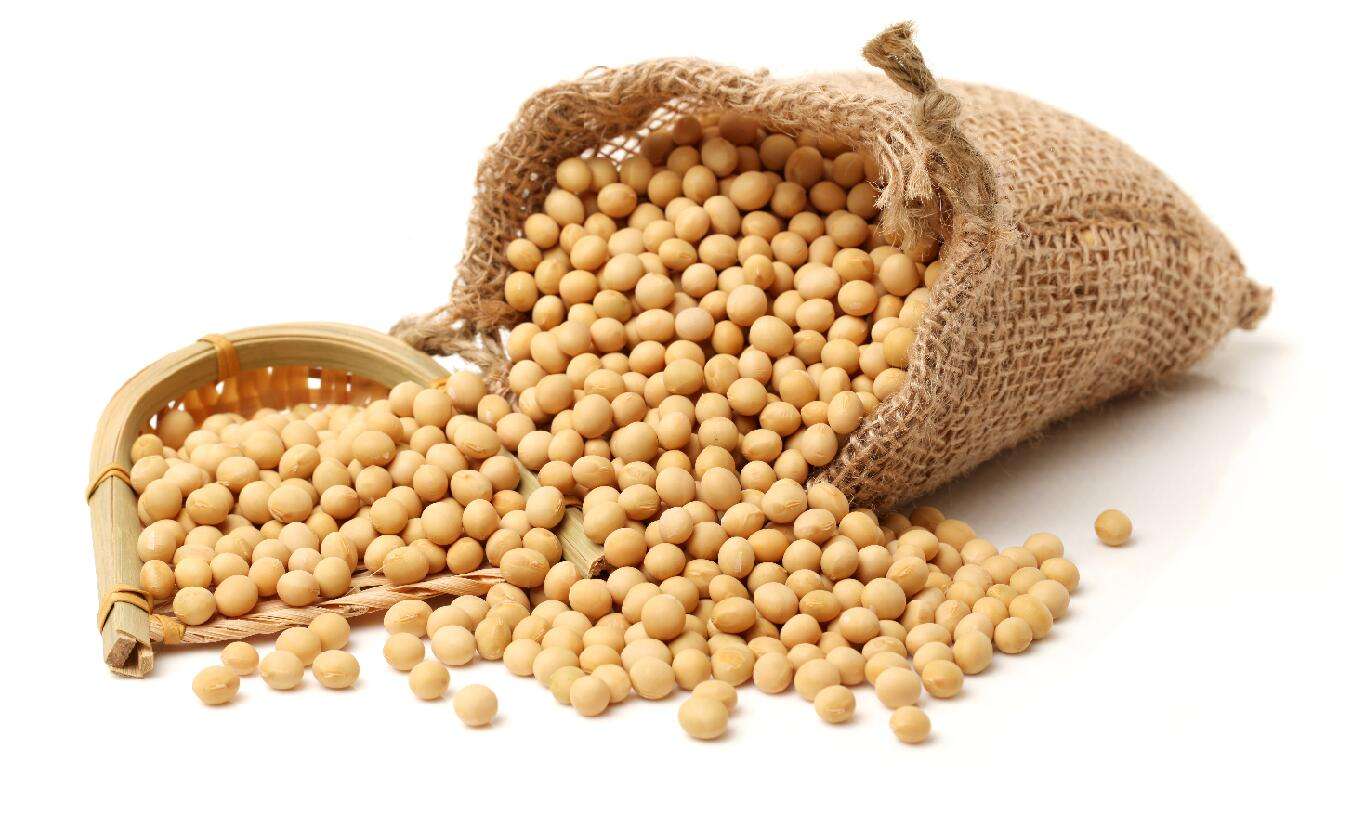 什么是低蛋白日粮？为什么要推广低蛋白、低豆粕日粮？