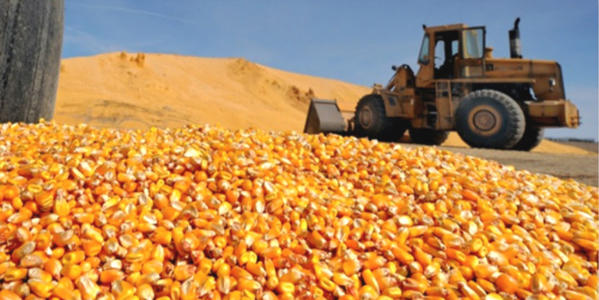2022年04月27日全国各省市玉米价格行情，玉米涨幅有限，维持高位震荡！