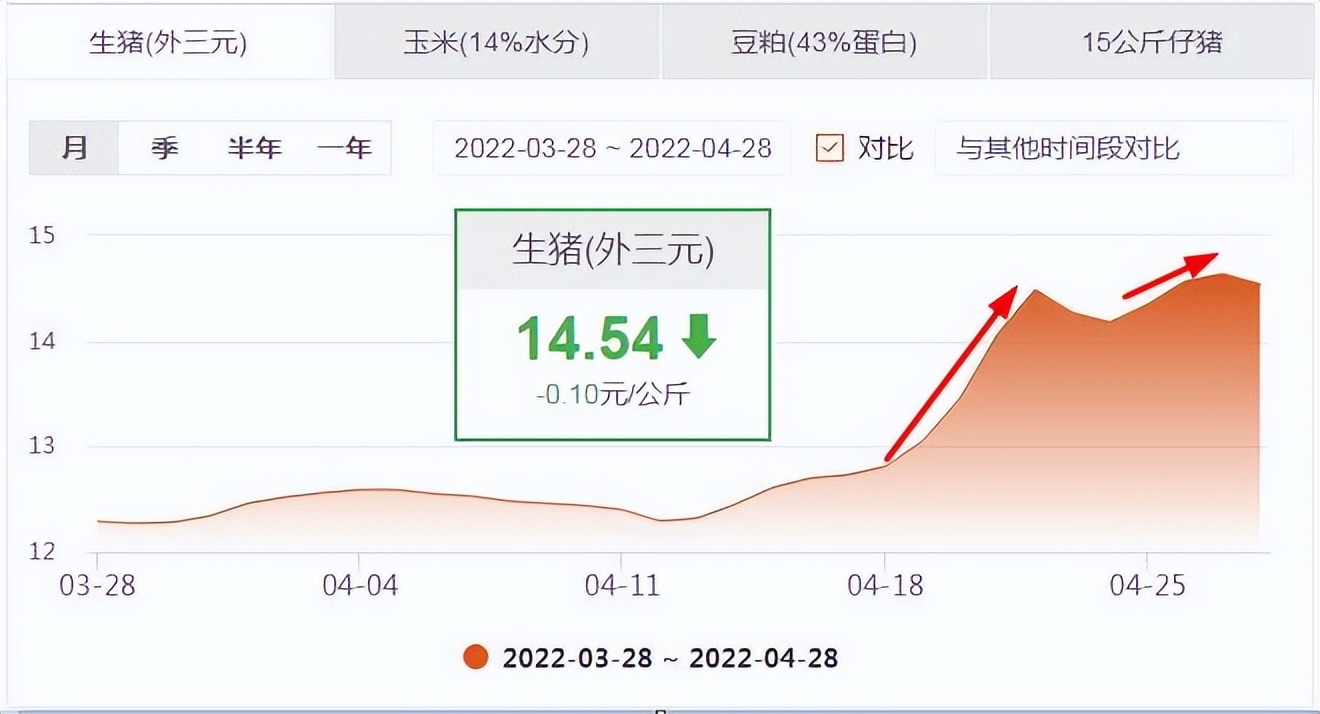 猪价冲高回落，仔猪行情继续飙升，猪市各环节盈亏正在发生改变