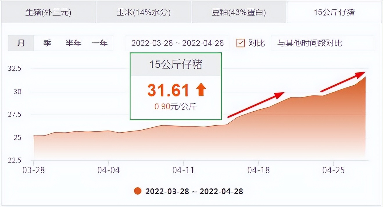 猪价冲高回落，仔猪行情继续飙升，猪市各环节盈亏正在发生改变