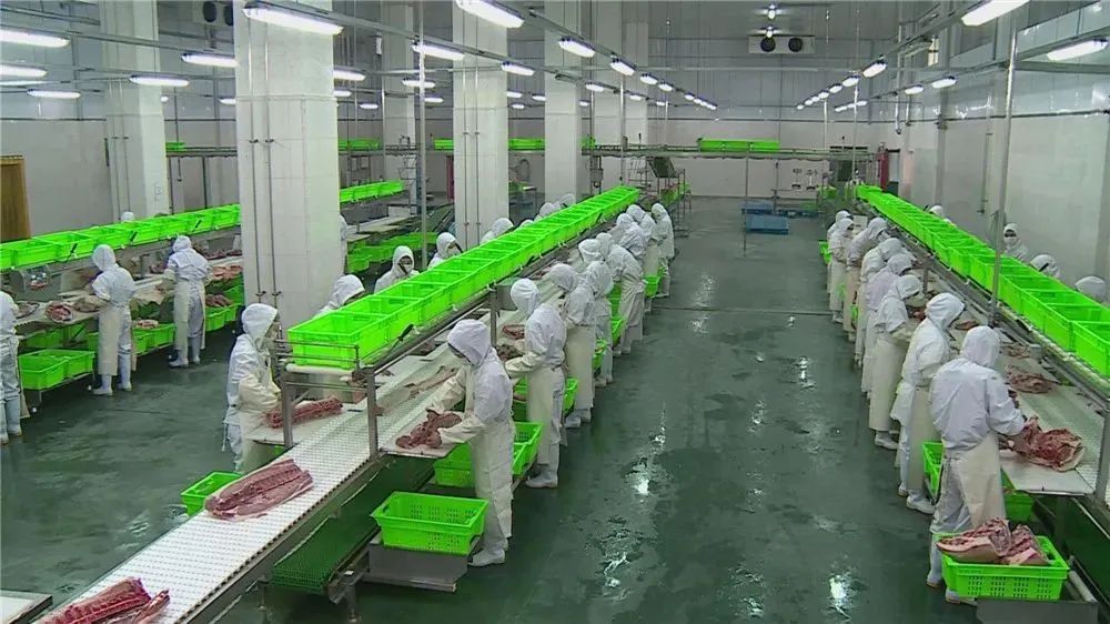 每日生猪产能上调至800头，团购覆盖本市2000多个小区，松林食品全力保障市场供应