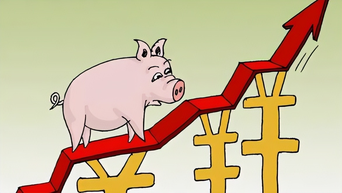 生猪价格继续上涨，仔猪价格似坐“火箭”，5月猪价将如何演变？